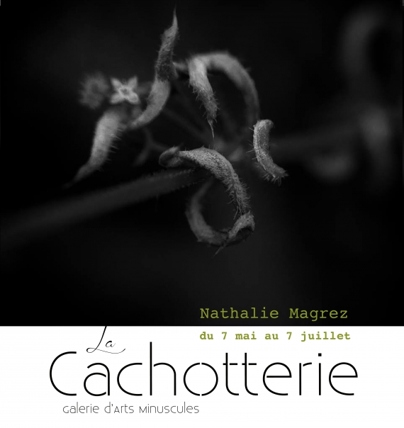 cachotterie, noir, 1914, 14-18, botanique, galerie, minuscule, atelier, curiosité, rose, paris, verdun,